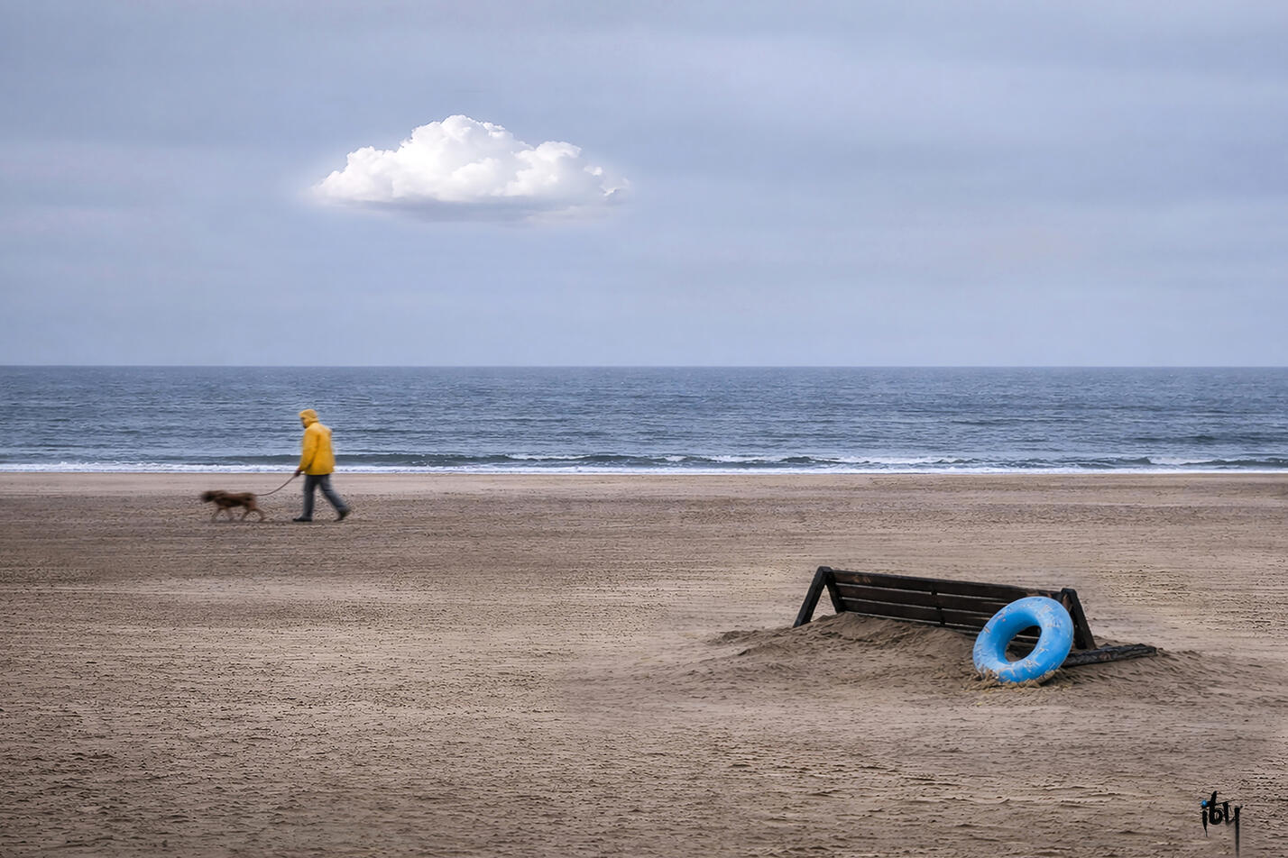 Solitude - Aluminium - 105X70 cm.
