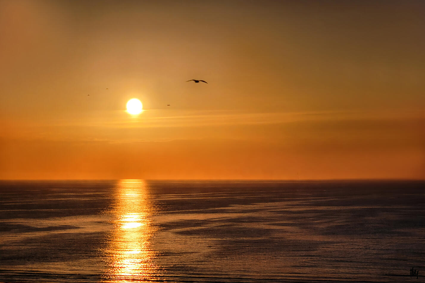 Sois comme la mer qui, se brisant contre les rochers, trouve toujours la force de recommencer. - J.D. Morrison. Photo prise à Scheveningen ( NL) - aluminium -105X70 cm