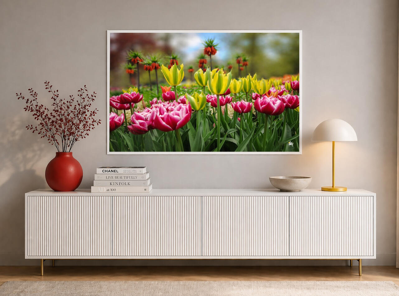 Les tulipes - Photo prise à Keukenhoff (NL) - 75X50 cm - 300€.